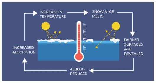 MAP Science Test for 9th to 12th Grade - Earth and Space